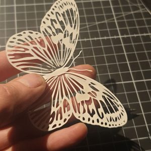 Advanced Stencil Paper Butterfly